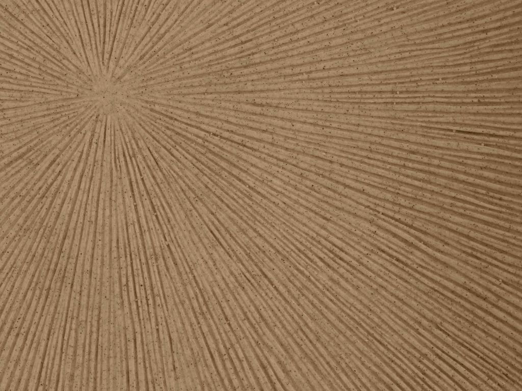 Structure avec lignes soleil en brun doré