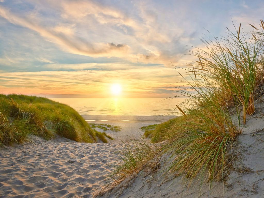 Coucher de soleil sur la plage des dunes