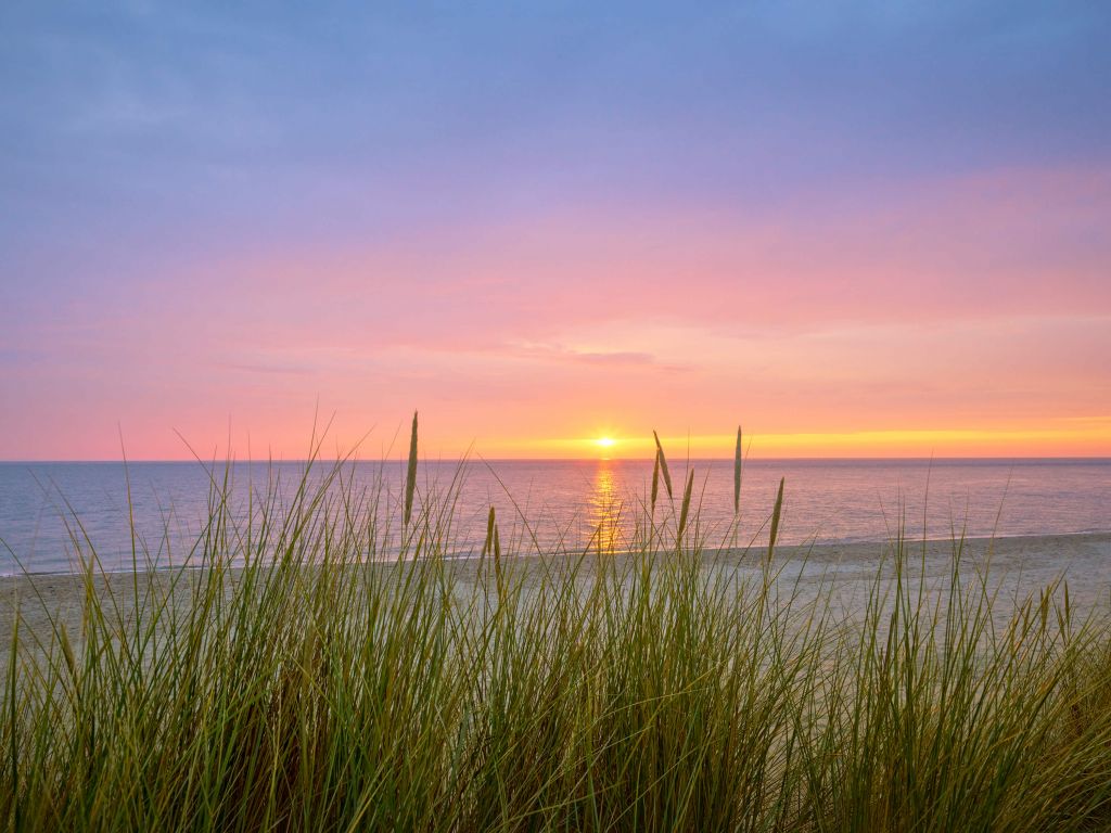 Lever de soleil sur la côte