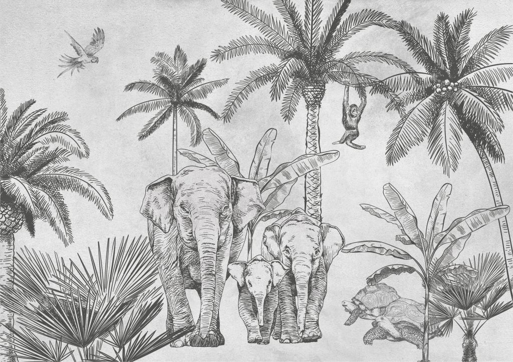 Éléphants gris