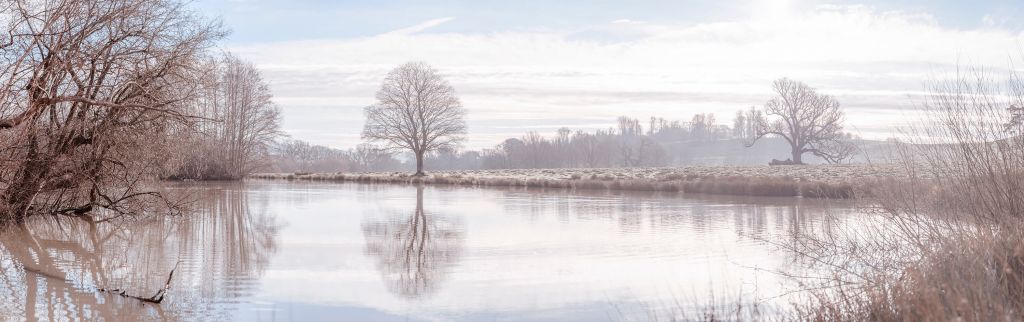 Paysage hivernal abandonné