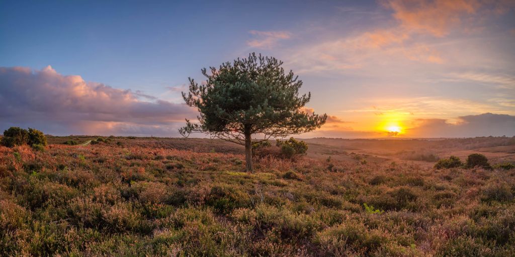 Coucher de soleil dans une région déserte