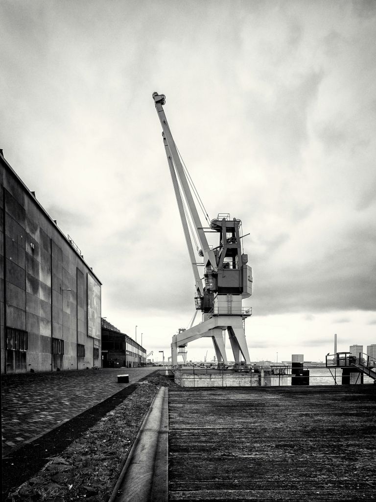 Grue portuaire sur l'ancien site RDM Heijplaat Rotterdam 