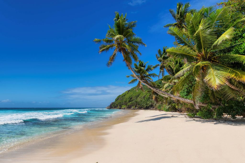 Grande plage ensoleillée