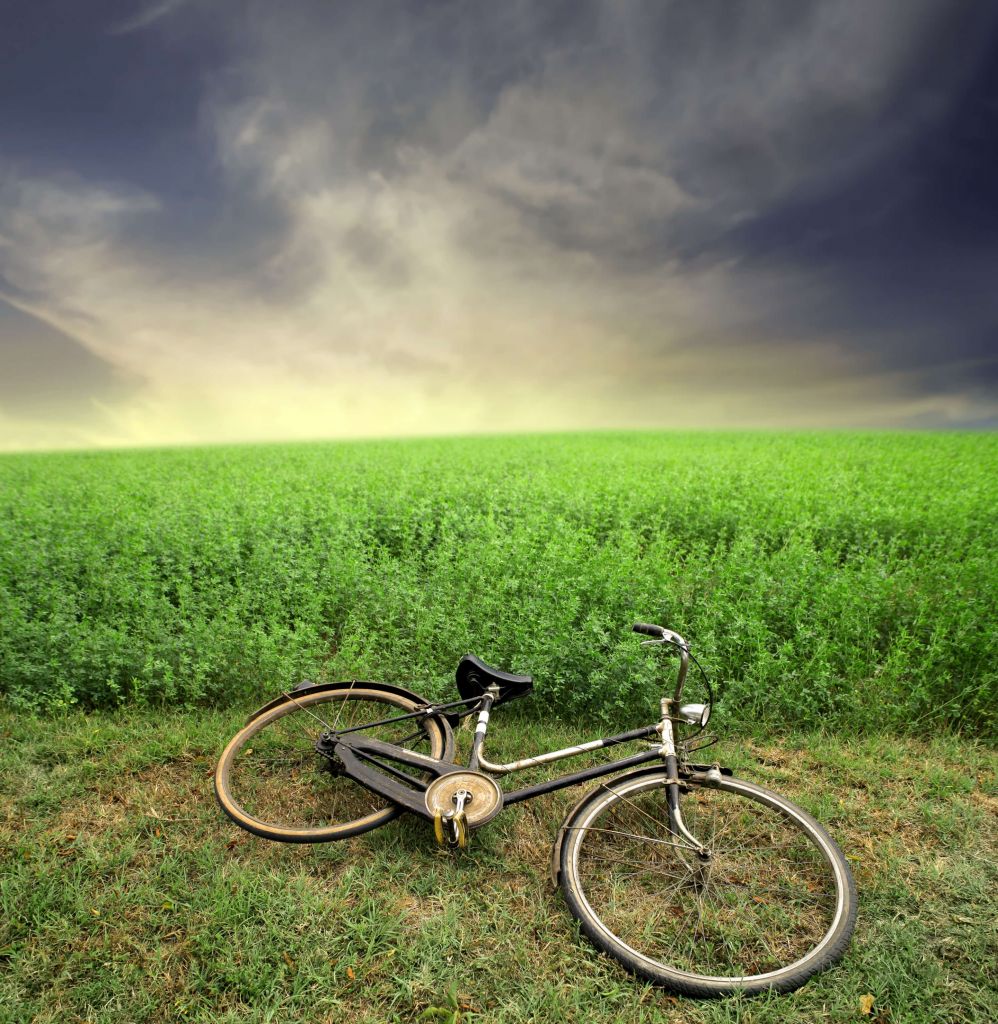 Vieux vélo