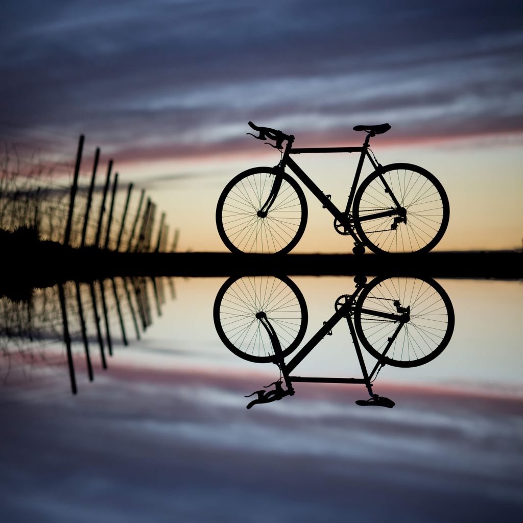 Vélo de course au coucher du soleil