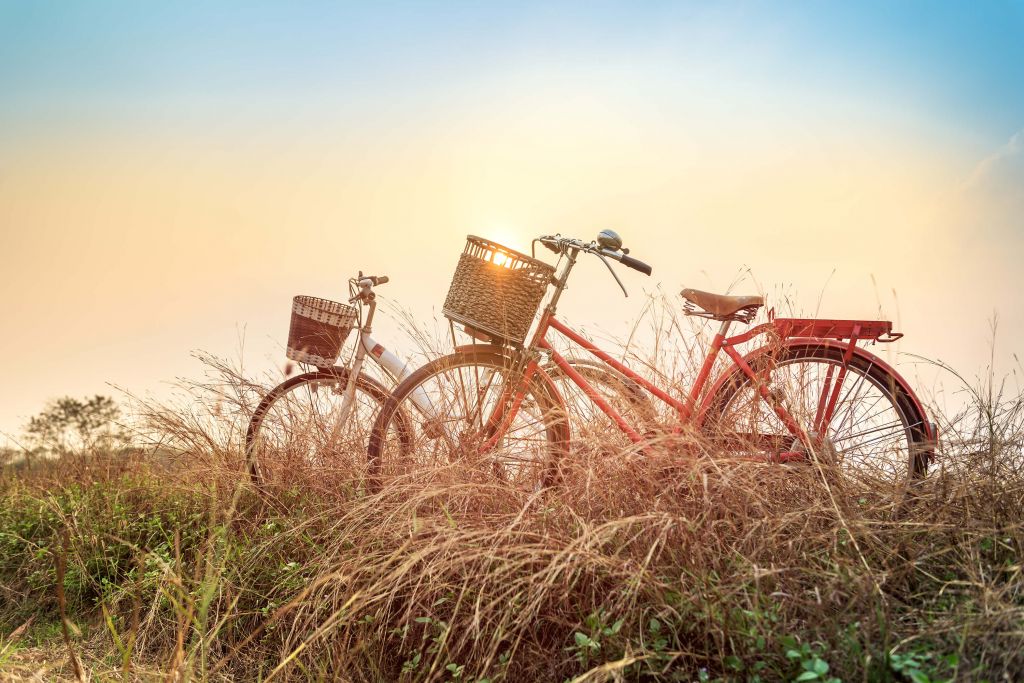 Vélos vintage