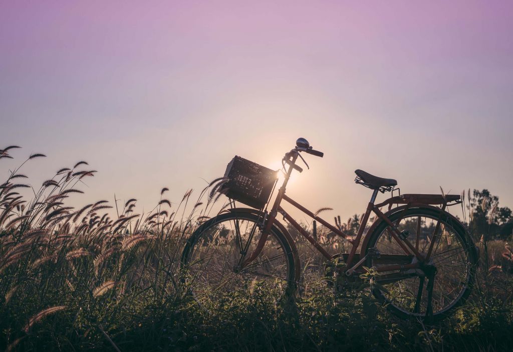 Vélo dans un champ