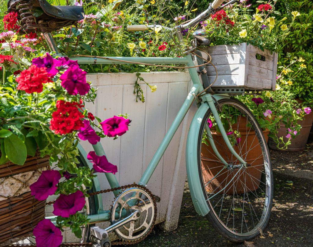 Vieux vélo avec fleurs