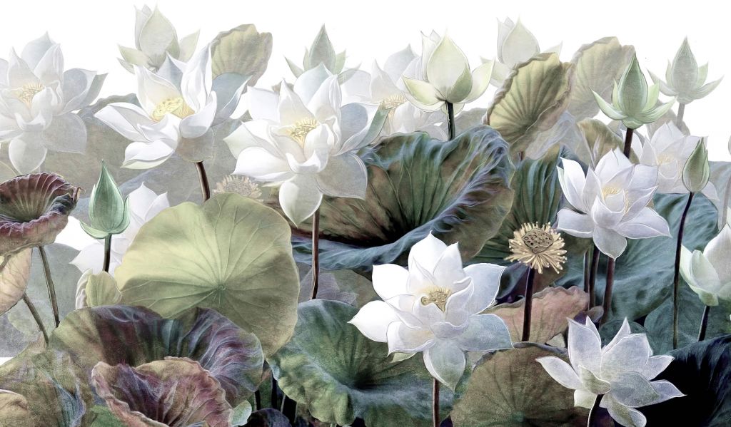 Fleurs de lotus pittoresques
