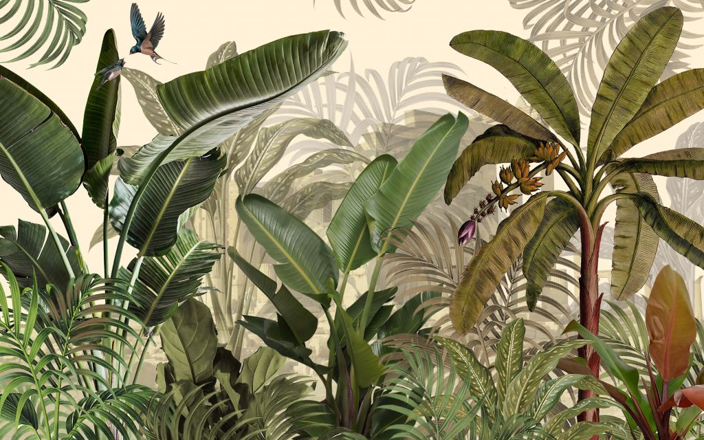 Plantes la jungle