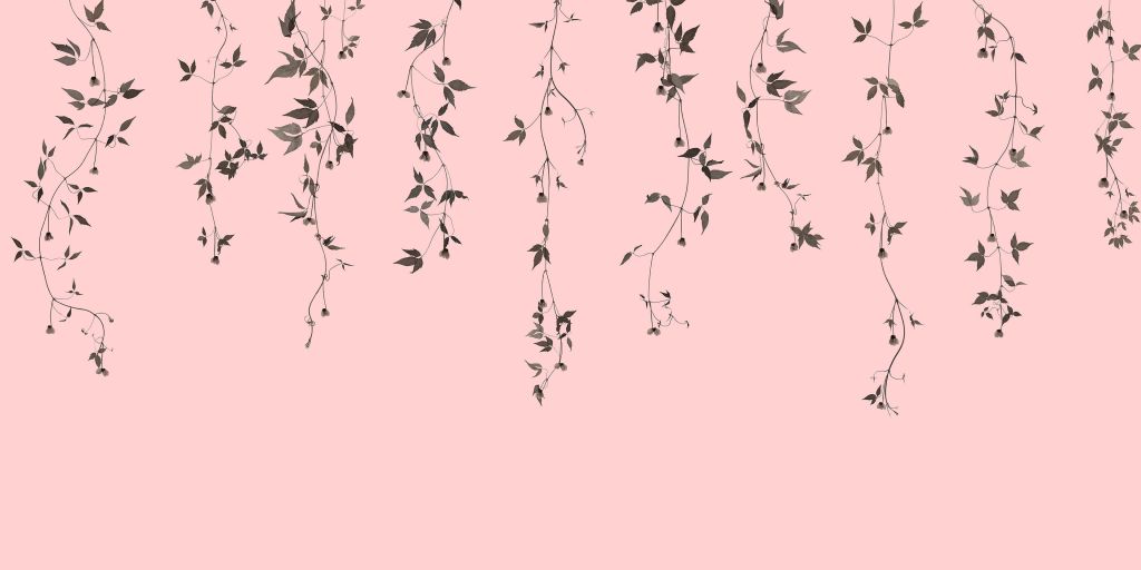 Brins de clématite sur rose