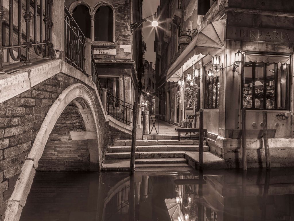 Gondolas moored along the canal, Venice, Italy