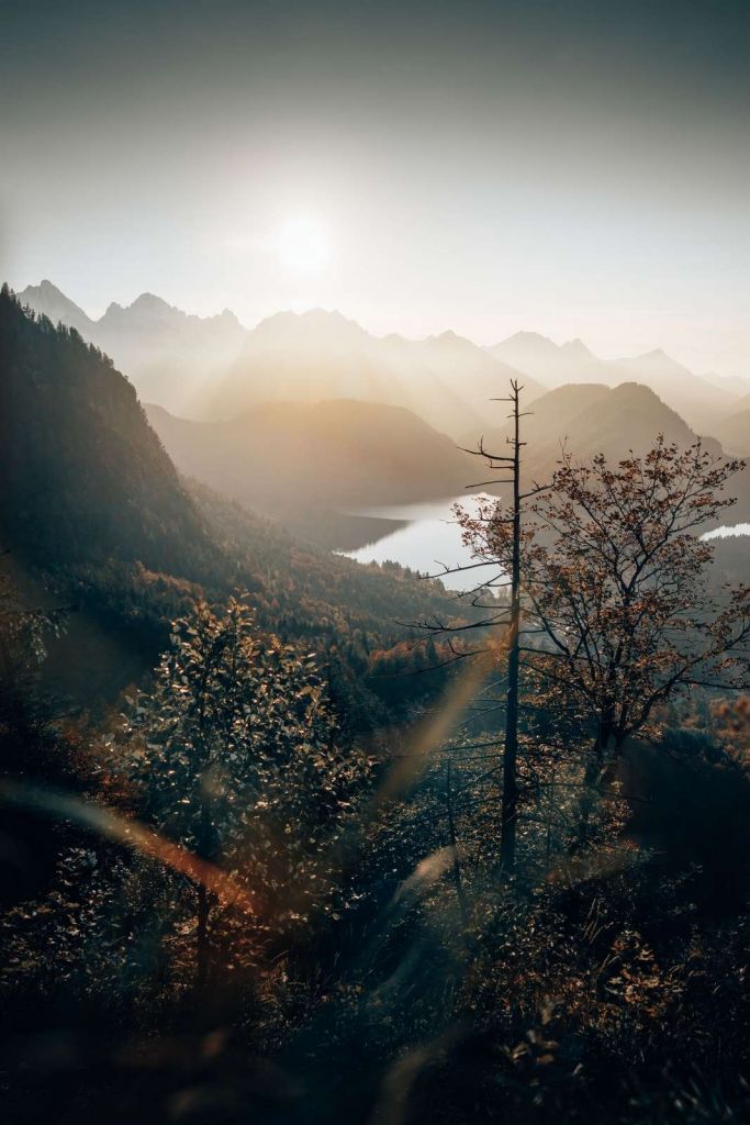 Vue sur les Alpes