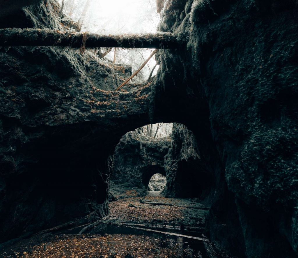 Anciennes mines de fer reconquises par la nature