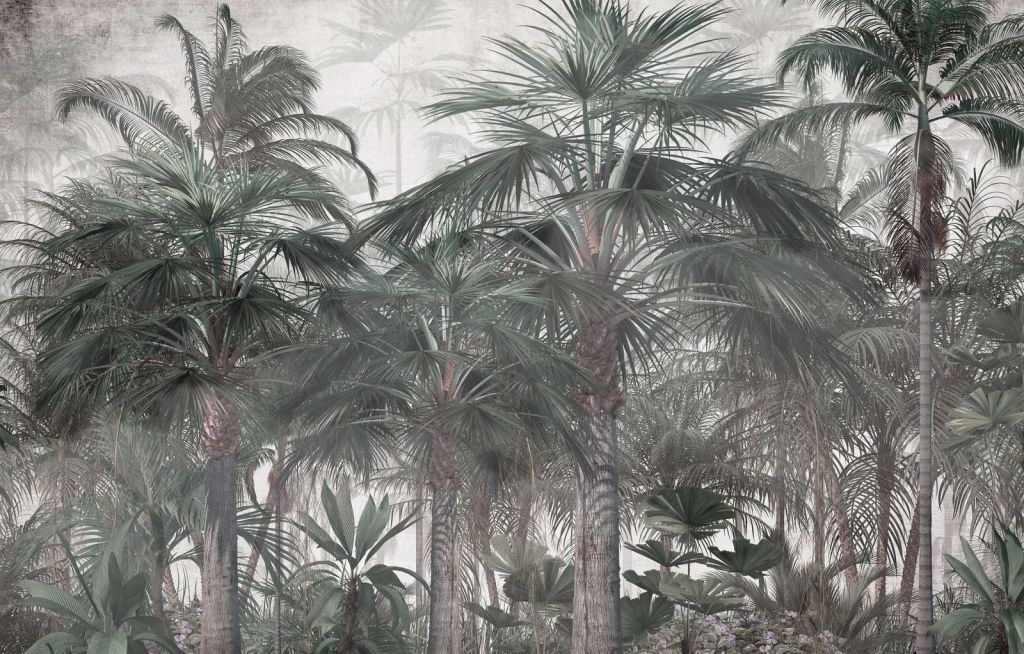 Sérénité Crépusculaire des Palmiers