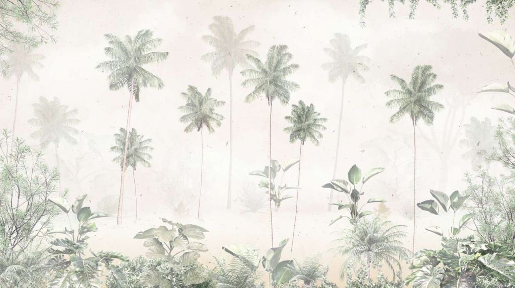 Matin Brumeux Tropical