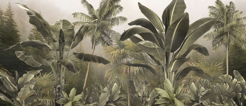 Forêt Tropicale Nébuleuse