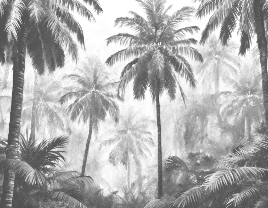 Forêt de Palmiers Brumeuse