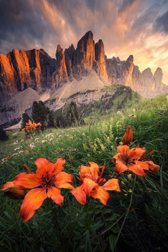 Lueur d'été dans les Alpes