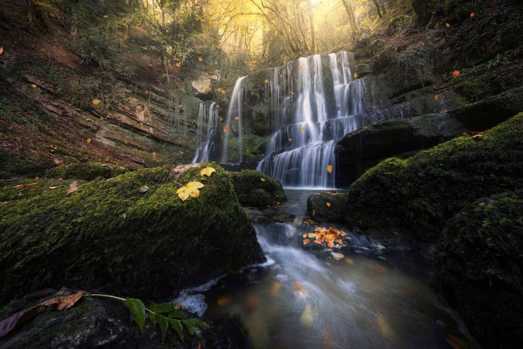 Cascade d'automne dans la forêt