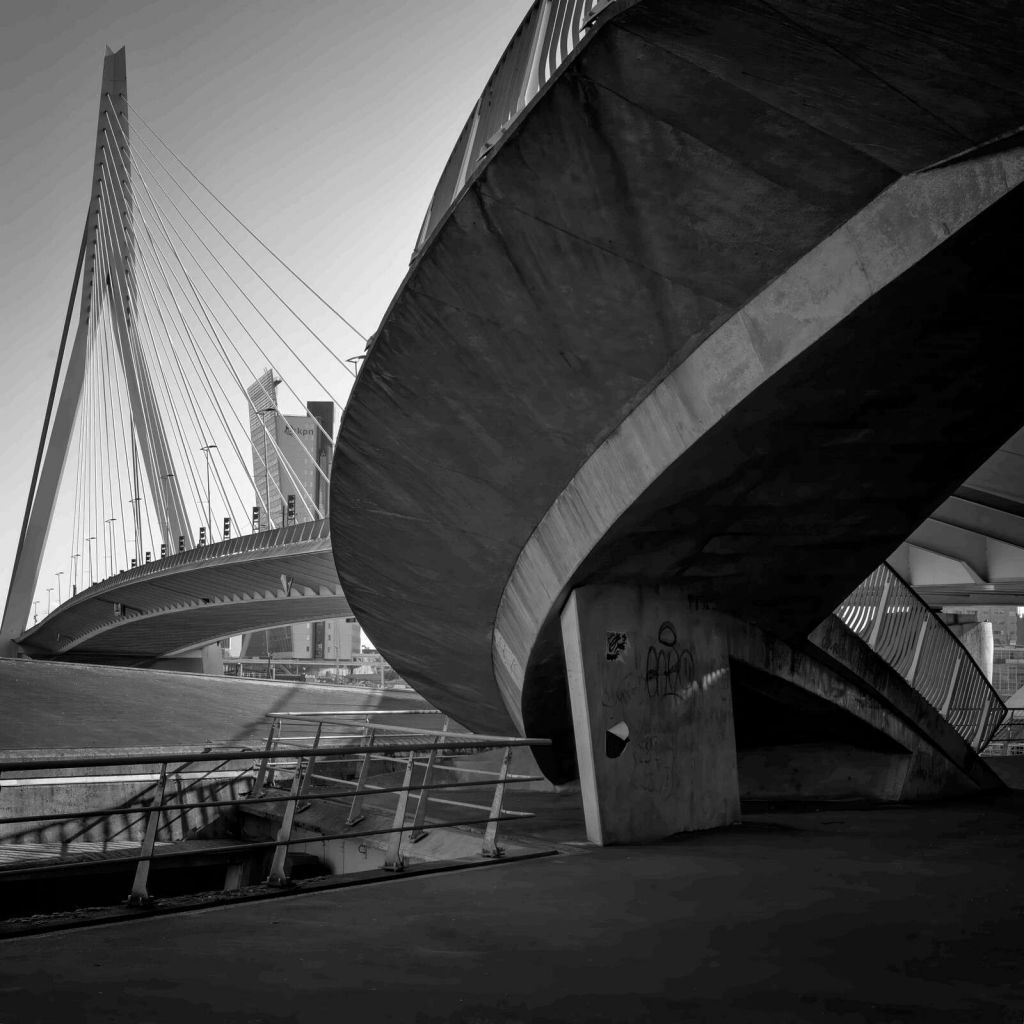 Erasmusbrug et architecture urbaine