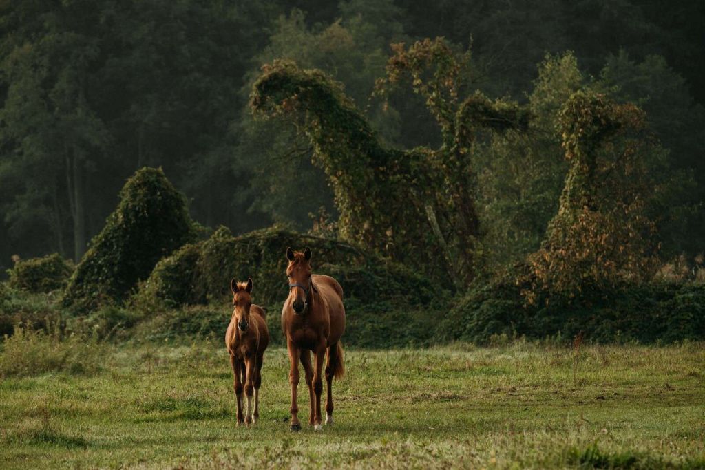Chevaux dans un paysage mystique