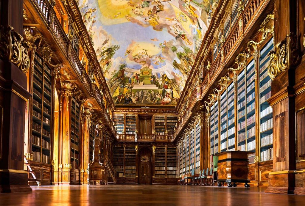 Bibliothèque historique en bois chaud
