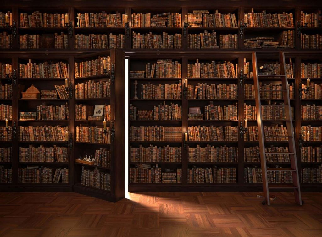 Bibliothèque secrète avec porte cachée