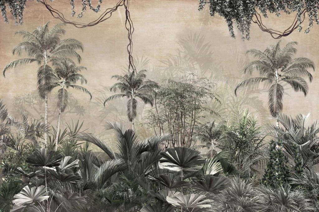 Forêt tropicale dans le brouillard