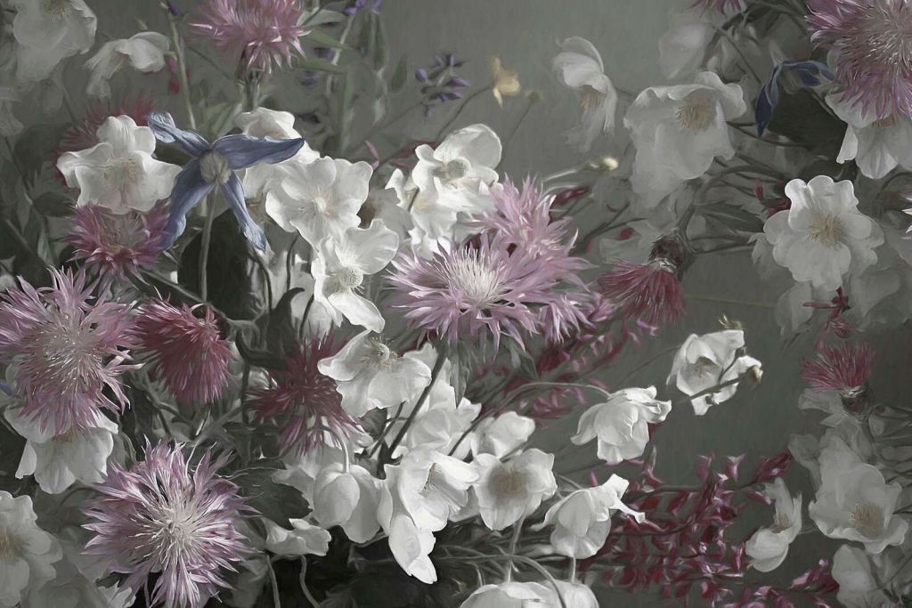 Anémones roses