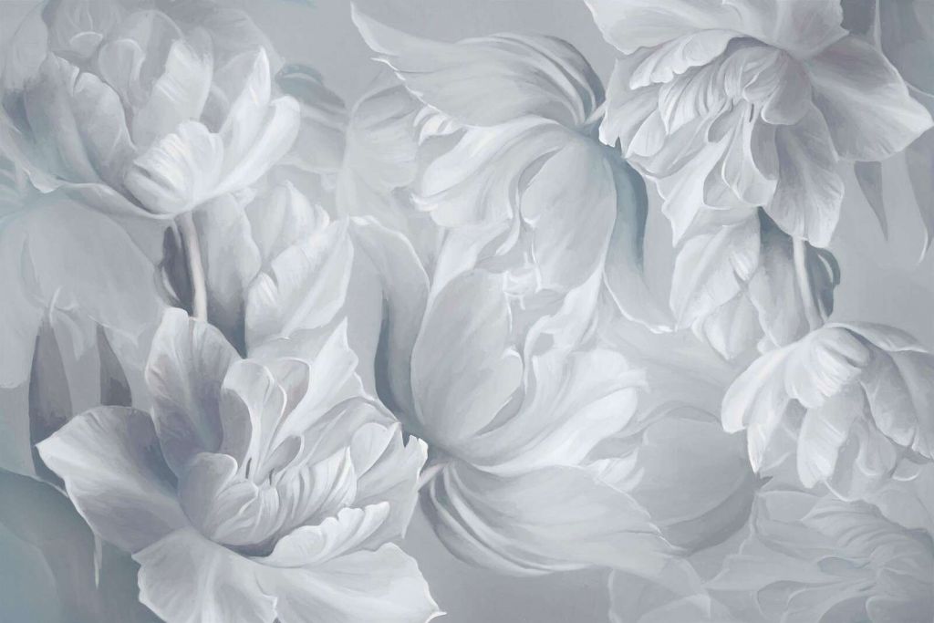 Grandes tulipes blanches
