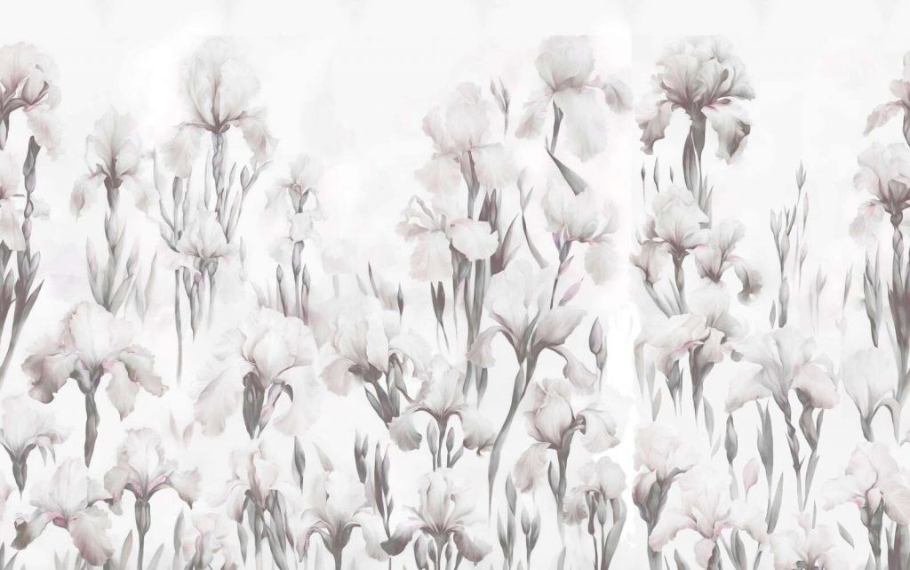 Iris dansent sans couture gris doux