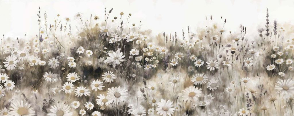 Crème de prairie de marguerites silencieuses