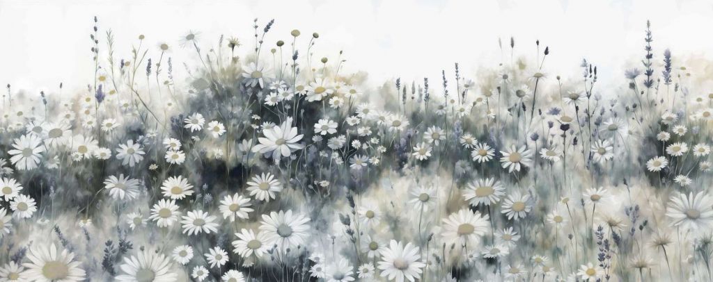 Prairie Verte de Marguerites Silencieuses
