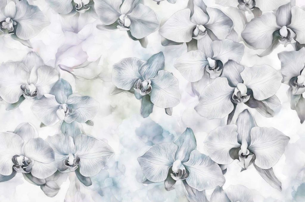 Mélodies d'orchidées aquarelle