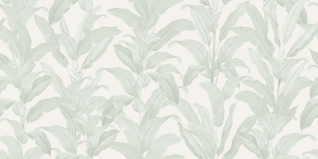 Feuilles tropicales douces en vert sauge