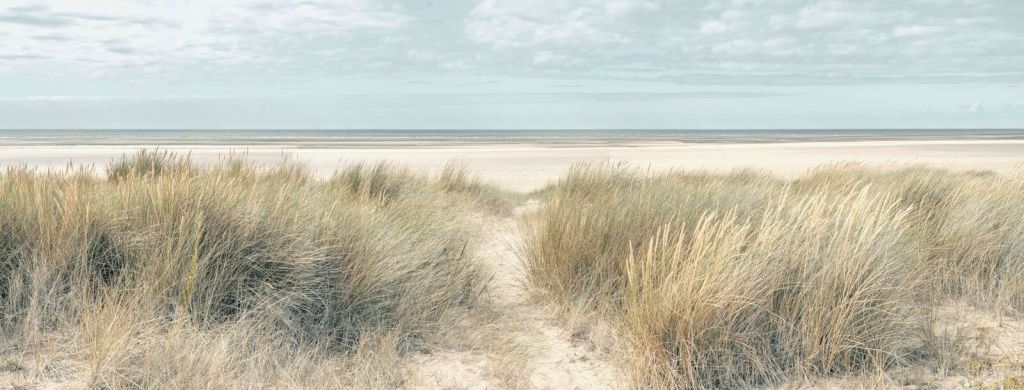 Dunes de sable herbeux sur la côte sous un ciel bleu