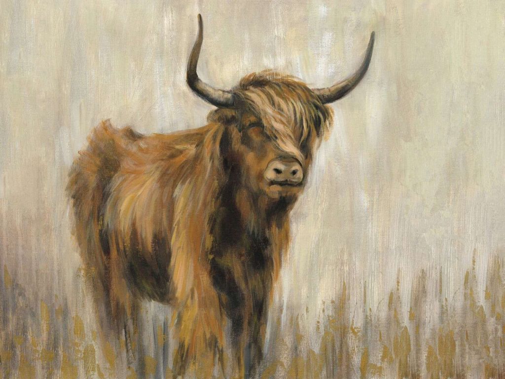 Highlander dans la prairie brumeuse
