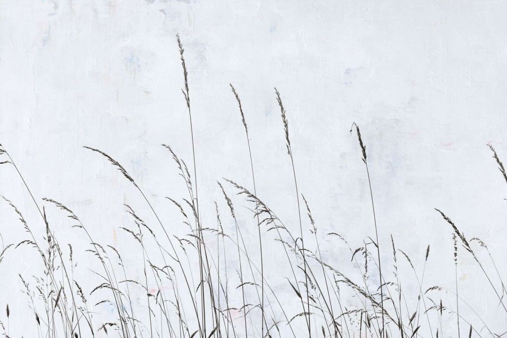 Herbes de champ doucement ondulantes dans la lumière blanche