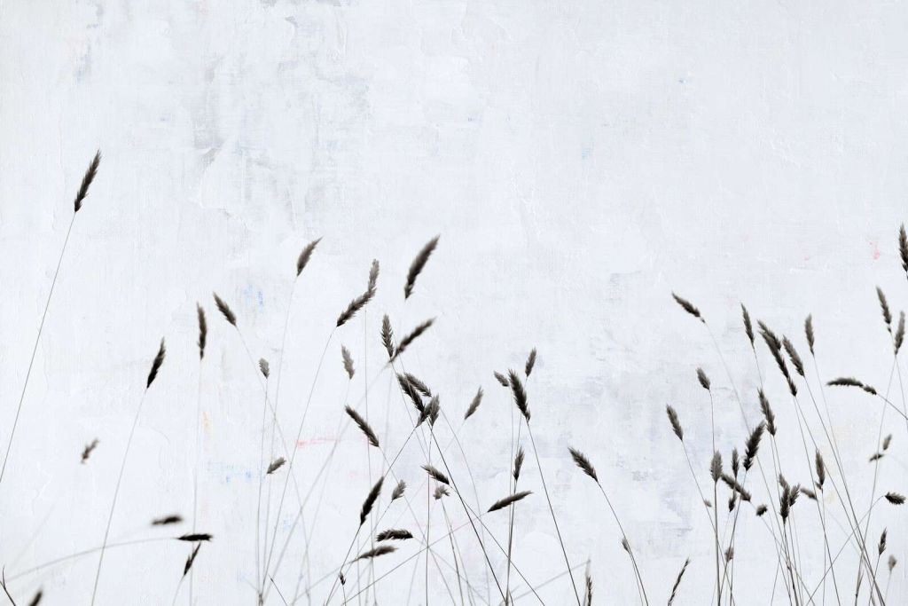 Herbe de champ minimaliste dans le silence