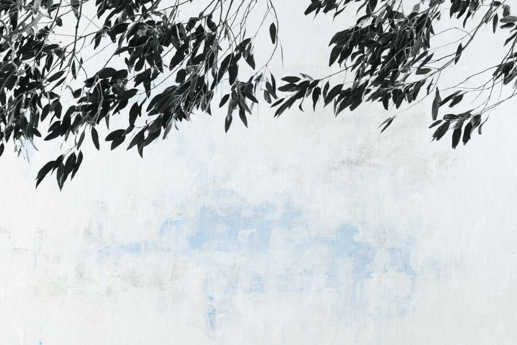 Branches sombres contre ciel clair.