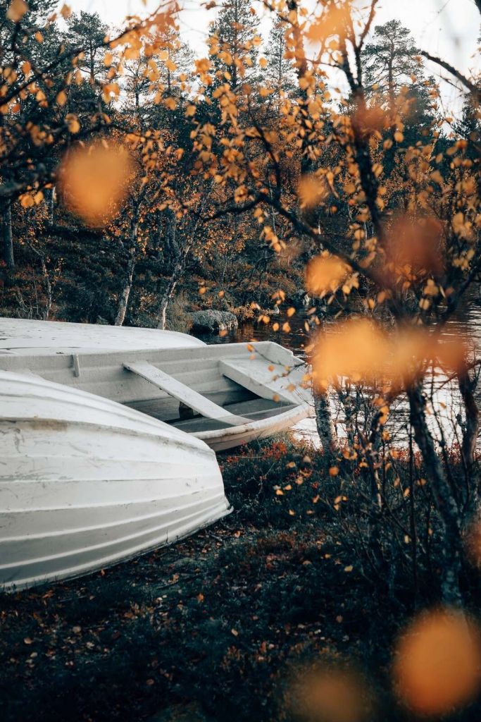 Barques blanches sur un lac d’automne