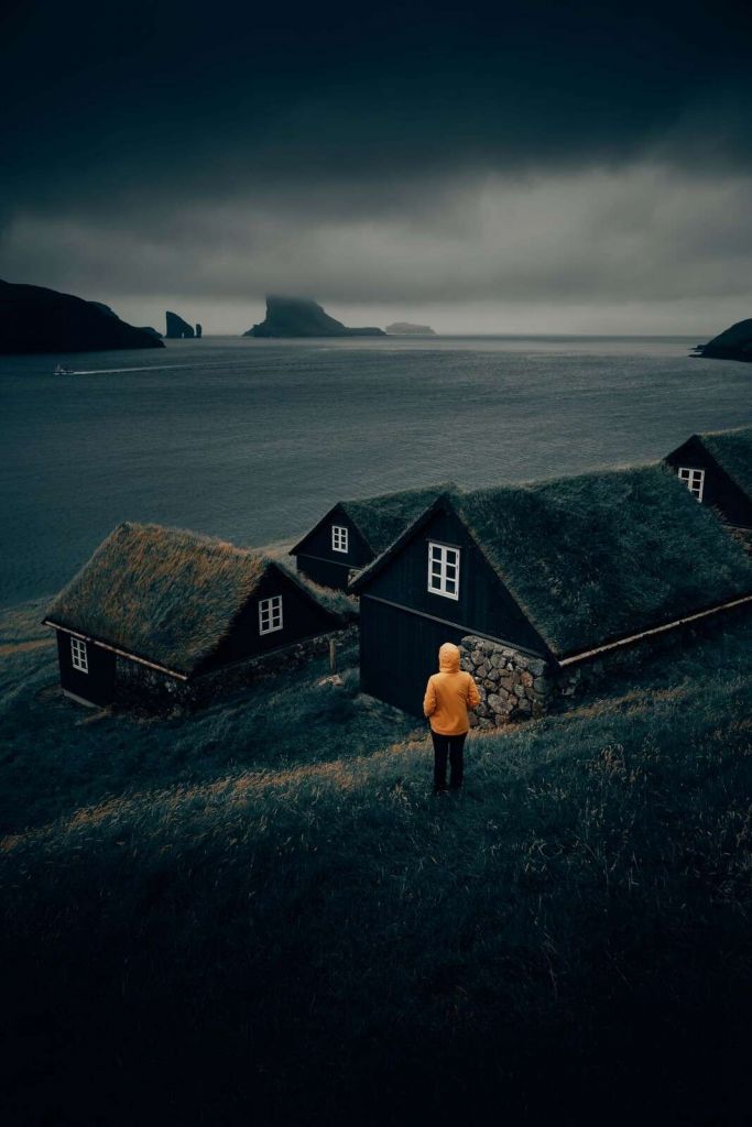 Toits de gazon près d’un fjord du nord