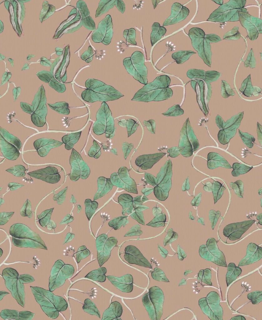 Des haricots grimpants sur sable brun