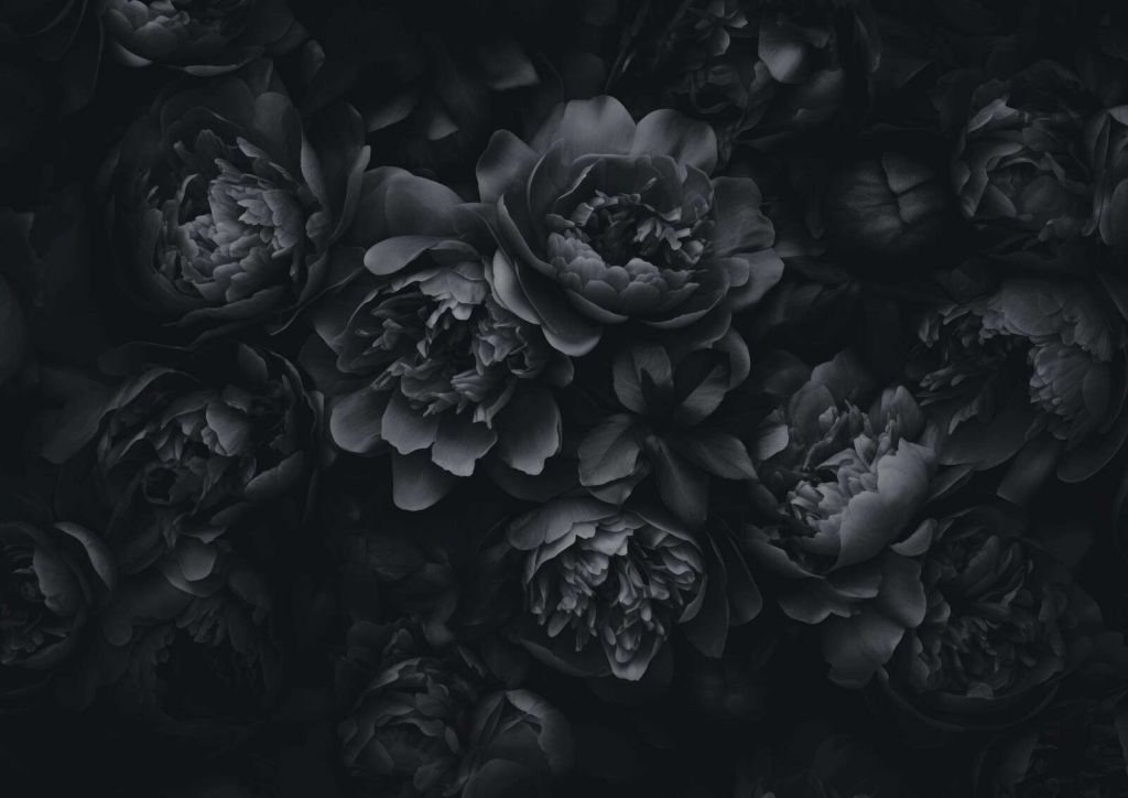 Fleurs opulentes noires et grises