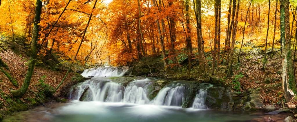 Cascade en automne