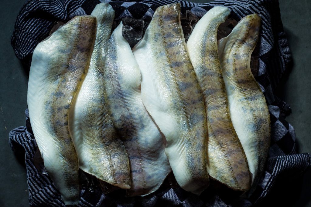 Poisson en filets