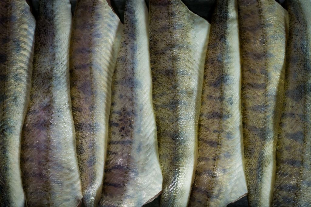 La pêche à la chaîne