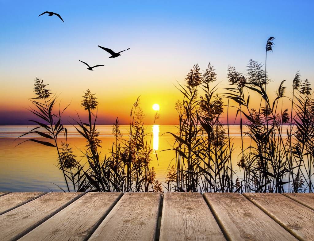 Coucher de soleil sur le lac